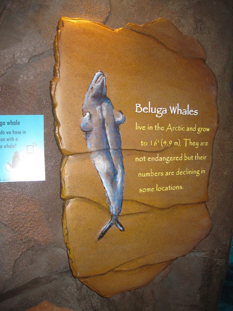 Beluga Whales Sign