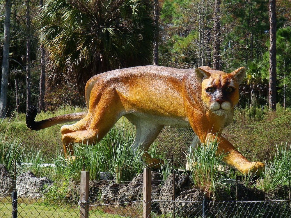 Giant Panther