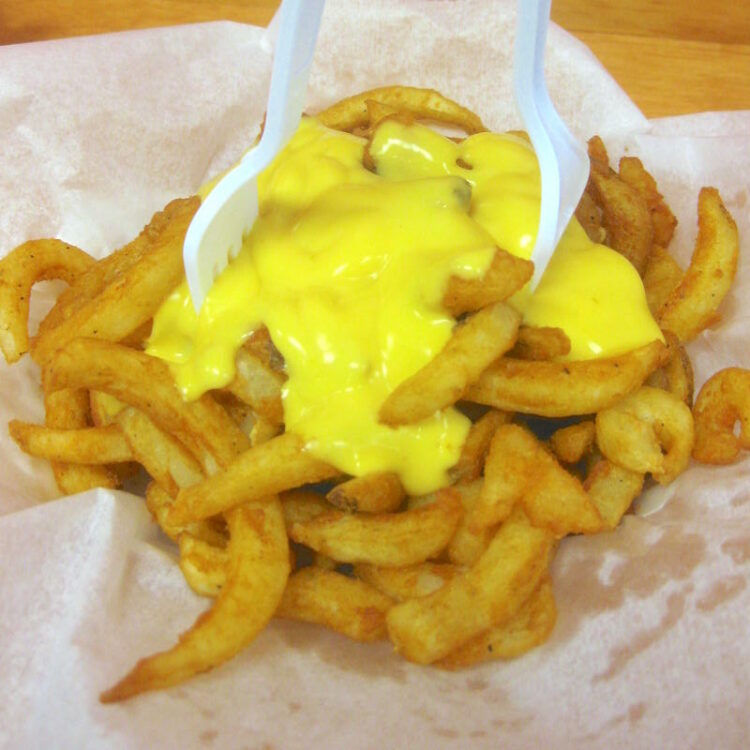 Cheese Fries from Tamiami Subs in Miami, Florida