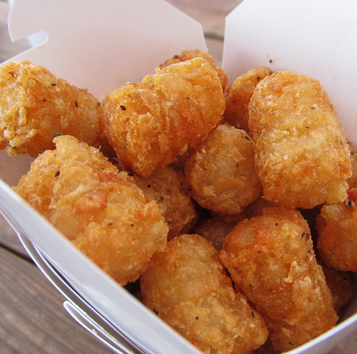 Tater Tots from BurgerQue in Fort Myers, Florida