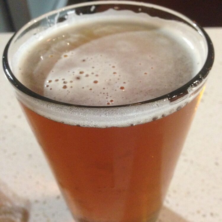 Fat Tire Draft Beer from The Counter at the Miami Airport