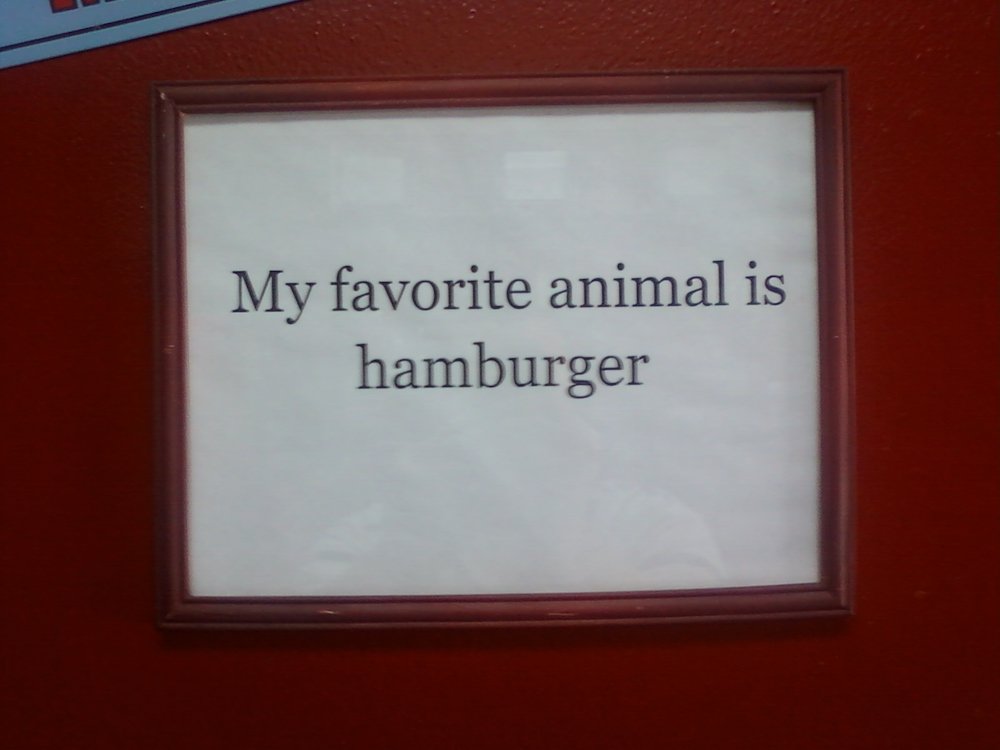 "My favorite animal is hamburger"
